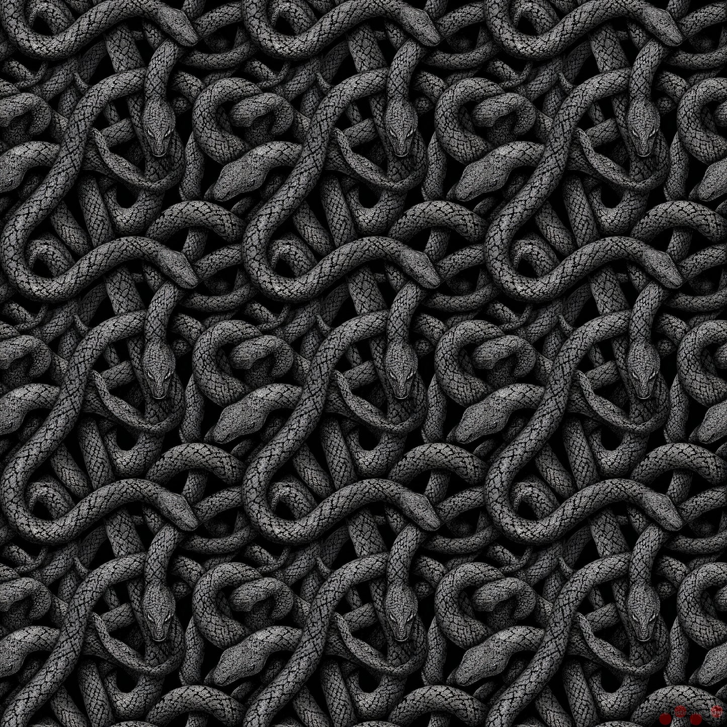 Entangled Elegance