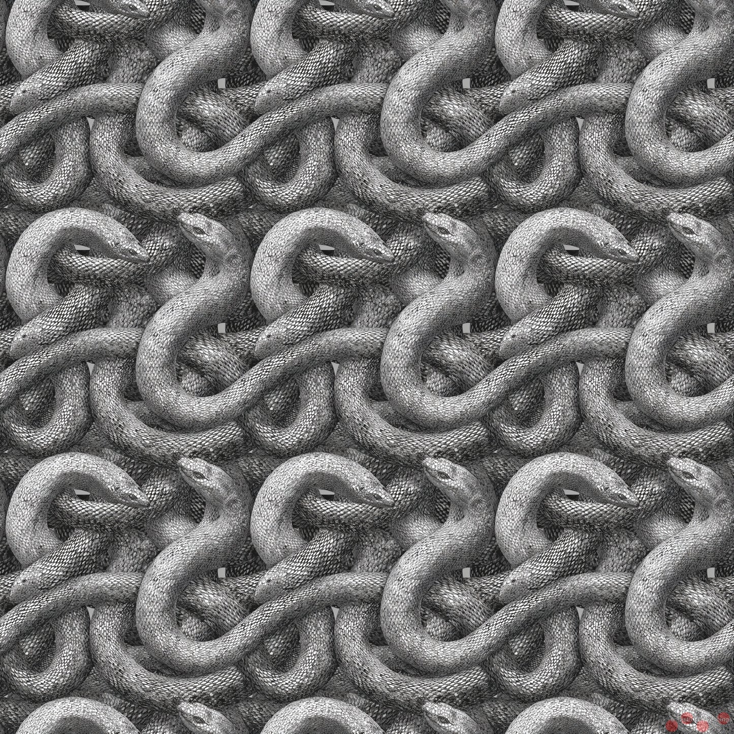 Entangled Grayscale Essence