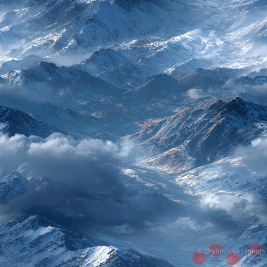 Canyon Winter Perspective